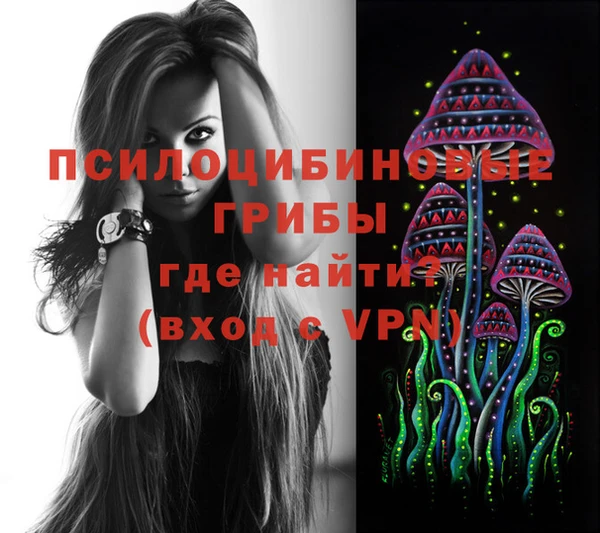ПСИЛОЦИБИНОВЫЕ ГРИБЫ Ельня