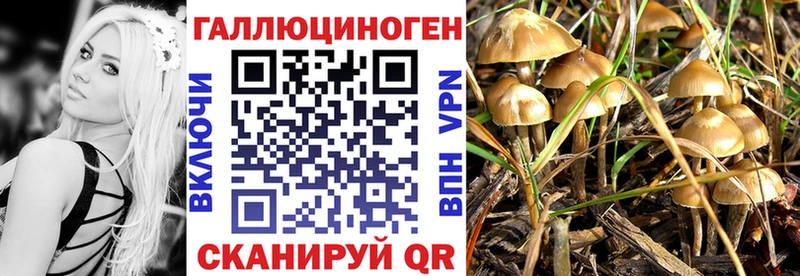 MEGA ССЫЛКА  Нижневартовск  Псилоцибиновые грибы прущие грибы 